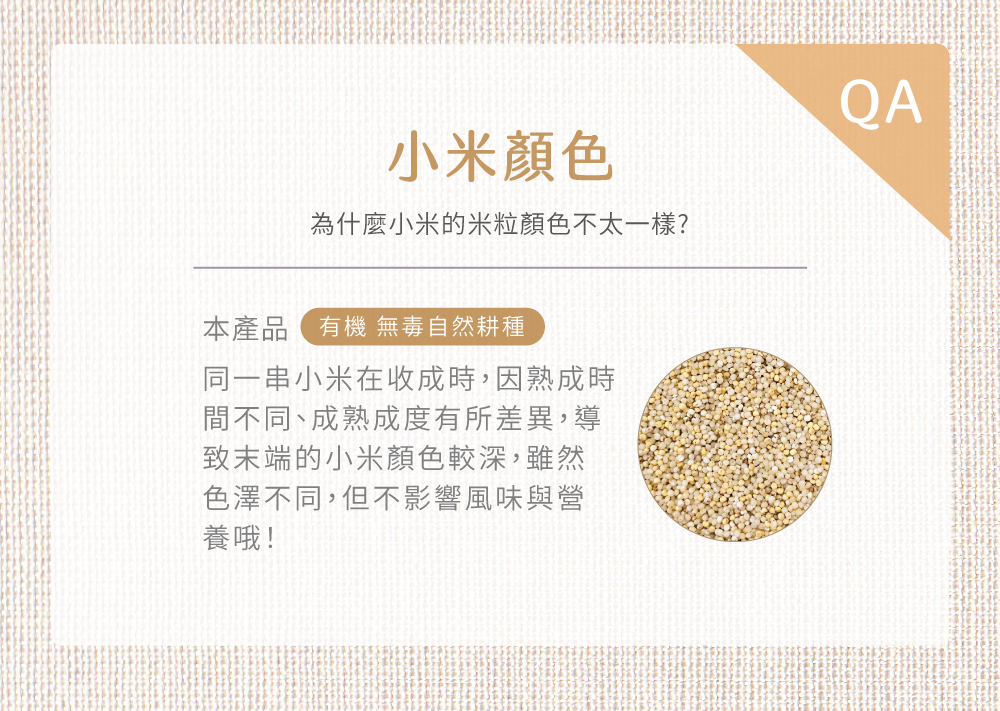 有機小米介紹圖05